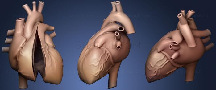 3D модель Архив (STL)